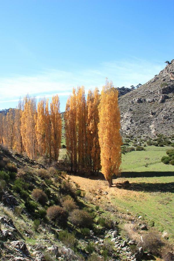 Alojamiento Aguasblanquillas Coto Ríos Exterior photo